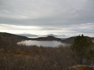 P1010919
