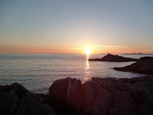 Image fin