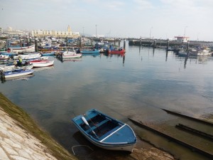 Port de peche Setubal